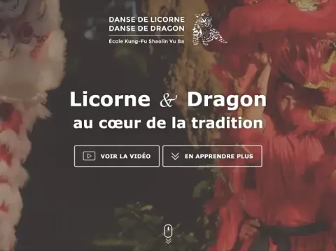 Page d'accueil du site Danse de la Licorne, avec une photo de prestation en costume.